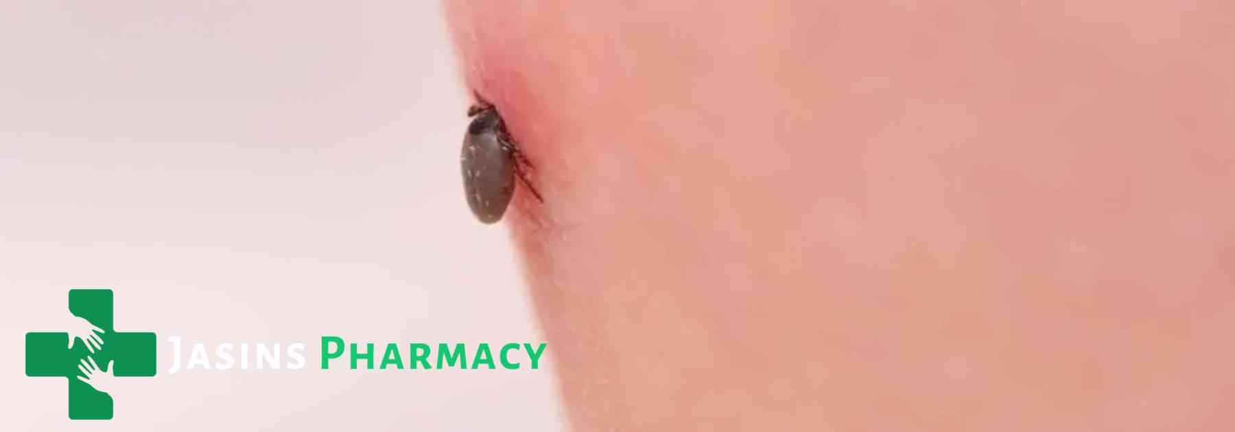 tick on person's skin