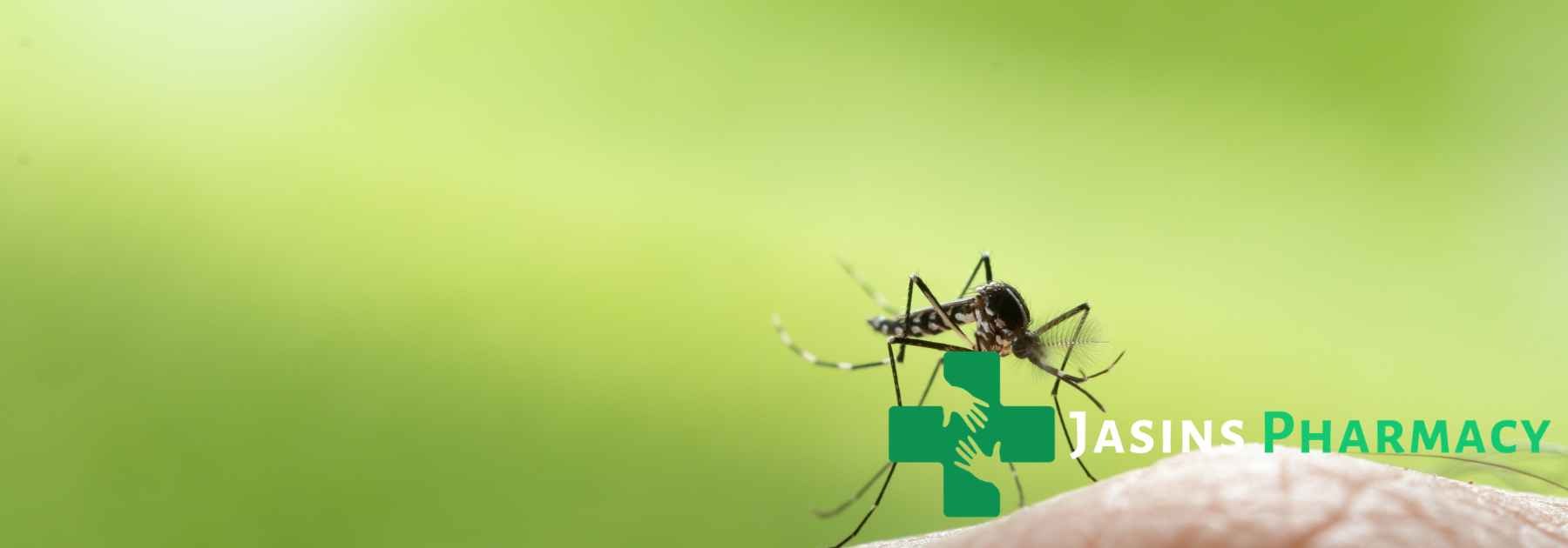 mosquito on green background